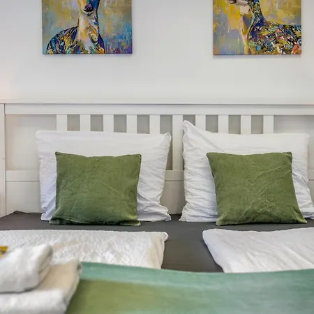 Romy Apartman Reischach