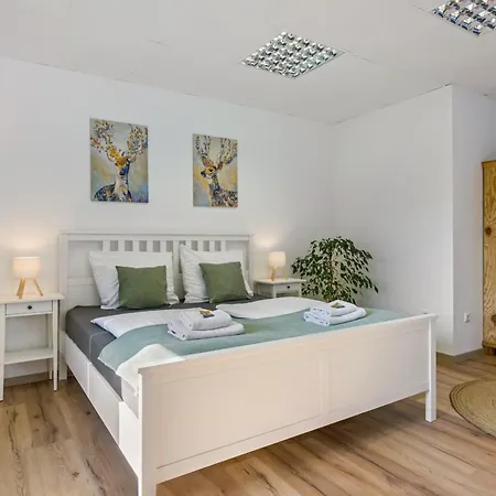 Apartman Romy Reischach